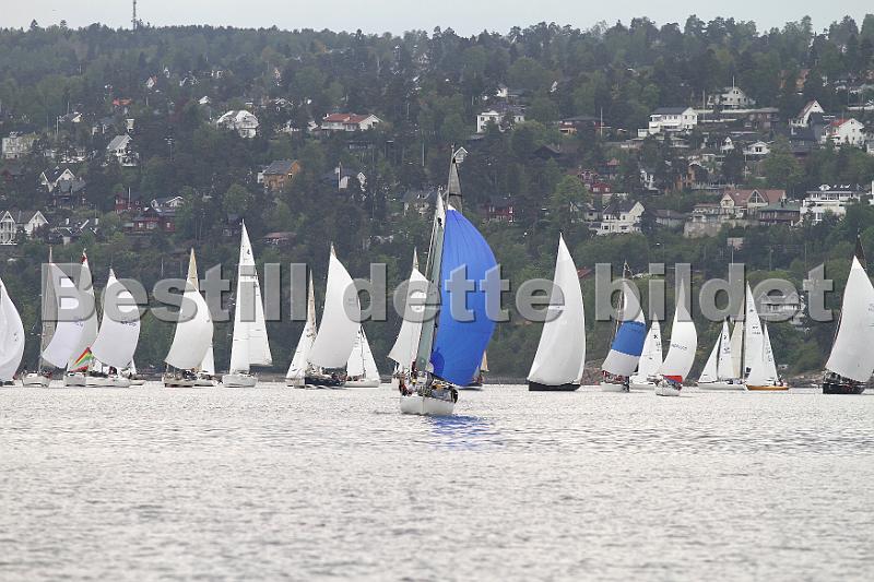 Bundefjorden2012 050.jpg